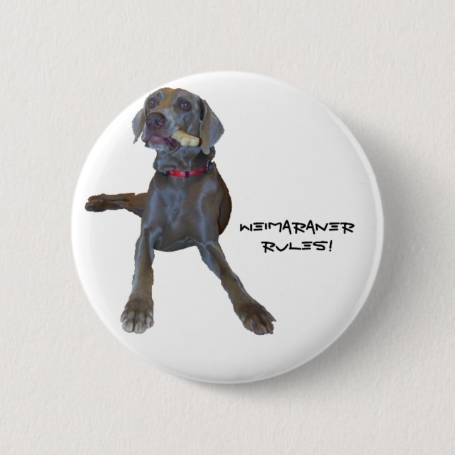 Weimaraners Rule! 2 Inch Round Button (Front)