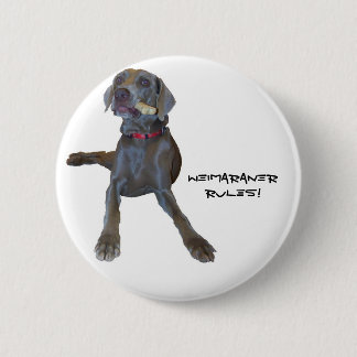 Weimaraners Rule! 2 Inch Round Button