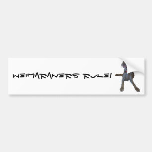 Weimaraners Rule! Bumper Sticker