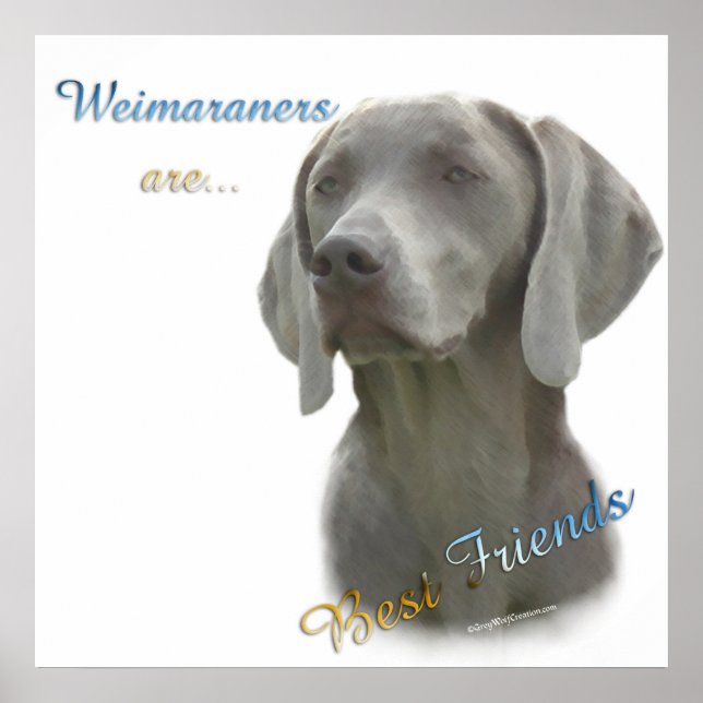 Weimaraners sont les meilleurs amis Poster (Devant)