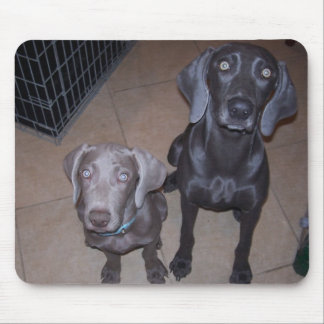weimeraners mouse pad