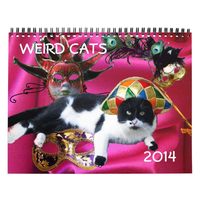 WEIRD CATS 2014 CALENDAR (Cover)