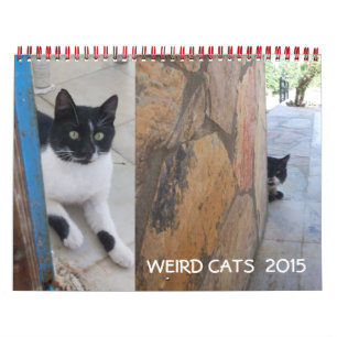 WEIRD CATS 2015 CALENDAR