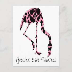 Weird Flamingo Cow Spots Funny Postcard