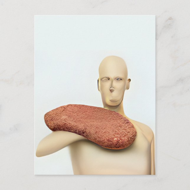 Weird Meat Mannequin Postcard (Front)