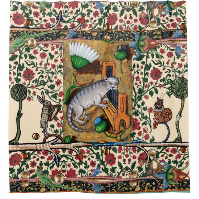 WEIRD MEDIEVAL BESTIARY MUSIC,CAT PLAYING ORGAN  (Front)