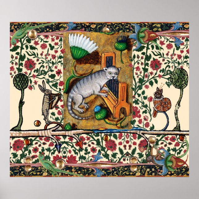 WEIRD MEDIEVAL BESTIARY MUSIC,CAT PLAYING ORGAN  POSTER (Front)