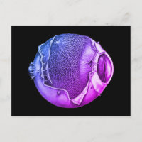 Weird Modern Vintage Eyeball Detail Drawing Purple