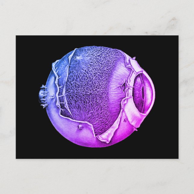 Weird Modern Vintage Eyeball Detail Drawing Purple Postcard (Front)