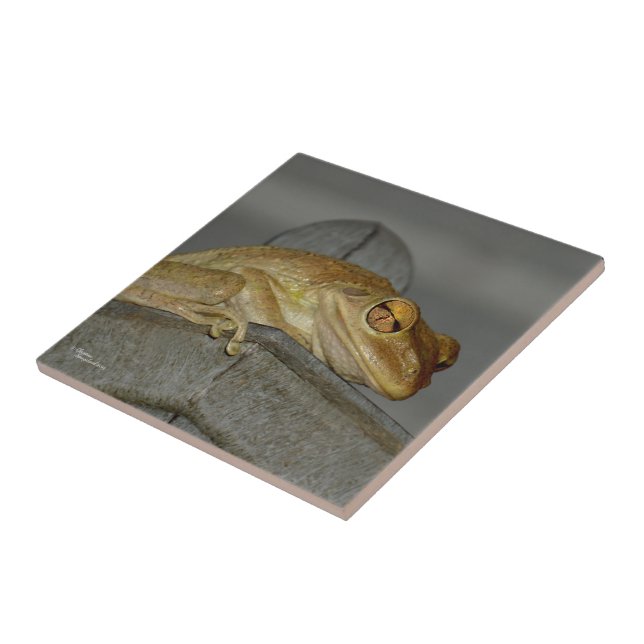 Weird tree frog Tile (Side)