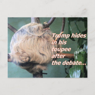 Weird Trump Lost  Postcard