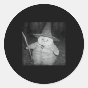 Weird Wizard Cat Meme Shirt _ Vintage Soky Design  Classic Round Sticker