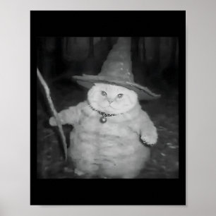 Weird Wizard Cat Meme Shirt _ Vintage Soky Design Poster