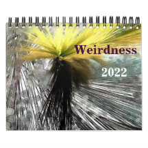 Weirdness 2022 Calendar