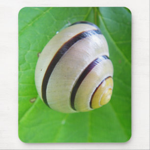 Weiß-braune Schnecke Mouse Pad