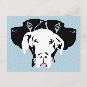 Weisse Dogge Postcard