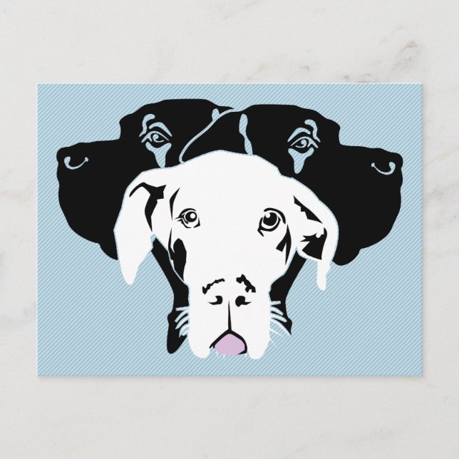 Weisse Dogge Postcard (Front)
