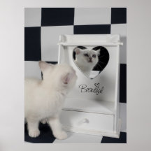 Weiße Katze vorm Spiegel