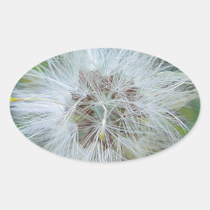 Weisse, zarte Wildblume Oval Sticker