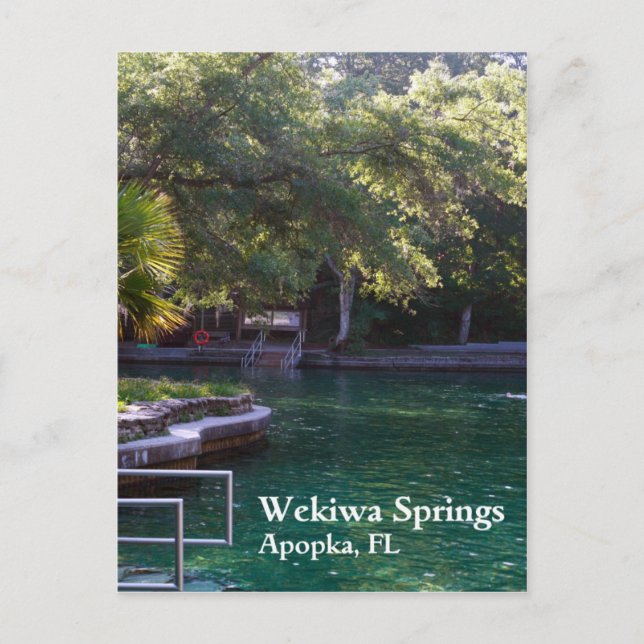 Wekiwa Springs, Apopka, carte postale FL (Devant)