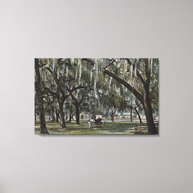 Welaka, FL - View of Welaka Park & Mossy Trees Canvas Print (Front)