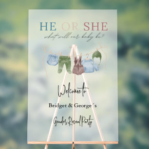 welcome baby gender reveal party frosted acrylic sign