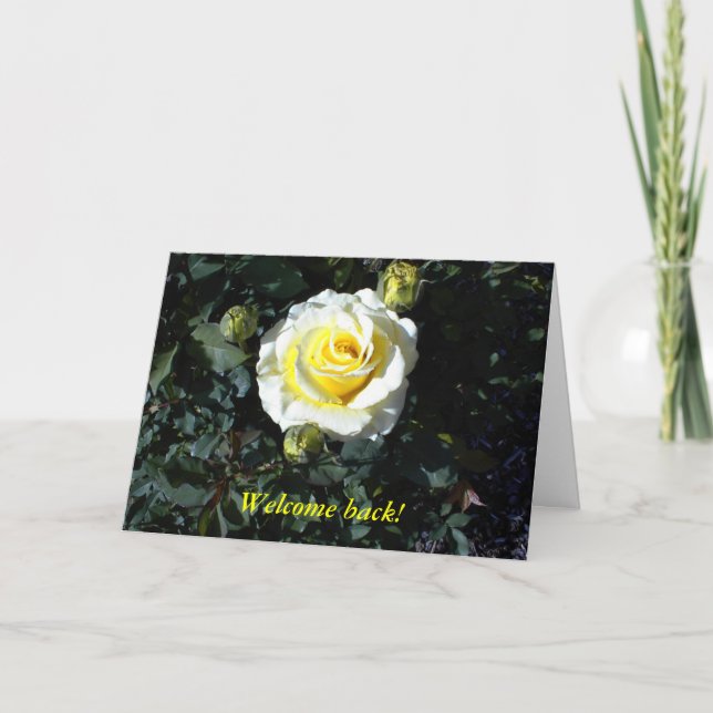 Welcome Back Card with Yellow Roses (Front)