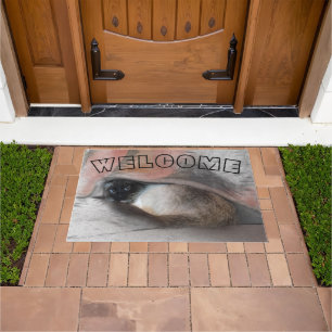 WELCOME Blue Eyed Siamese Kitten Under Blanket Doormat