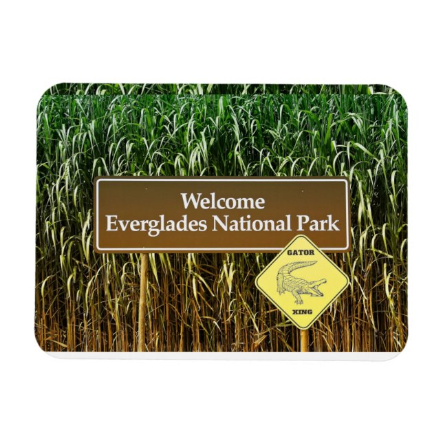 Welcome Everglades National Park, Gator Crossing Magnet (Horizontal)