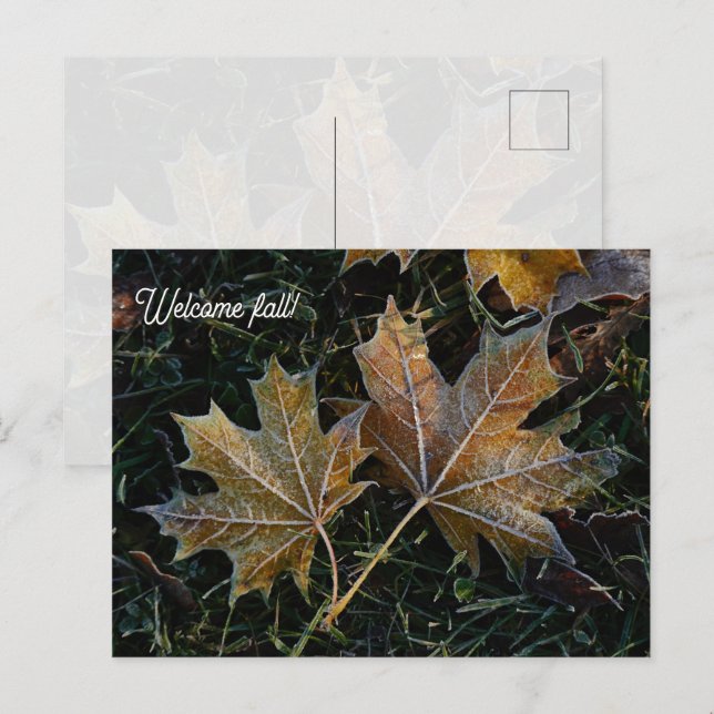 Welcome fall autumn leaves postcard (Front/Back)