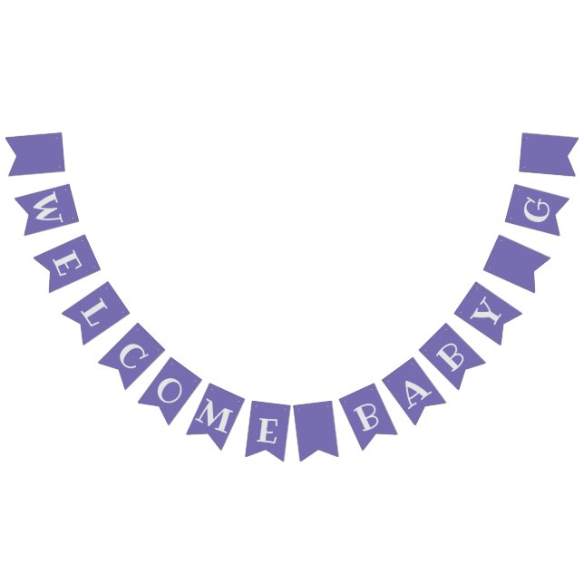 Welcome Home Baby Banner Lavender (All)
