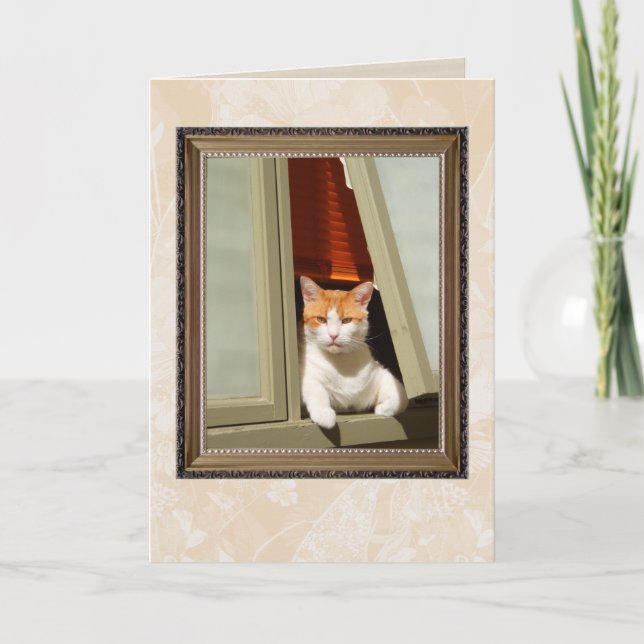 welcome home cat card (Front)