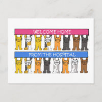 Welcome Home from the Hospital, Cartoon Cats.