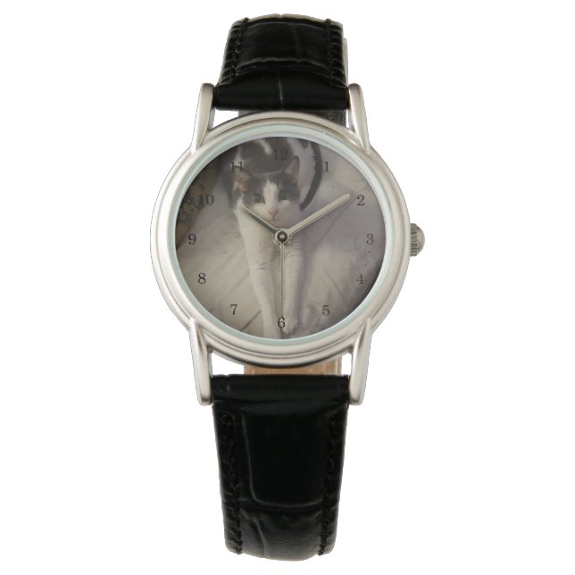 Welcome Home, I've Been Waiting For You!  Cat Watch (Front)