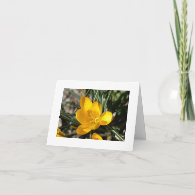 Welcome Spring Card (Front)