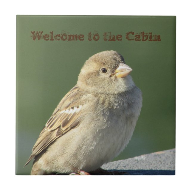 Welcome to Cabin Small Brown Sparrow Photo Bird Tile (Front)