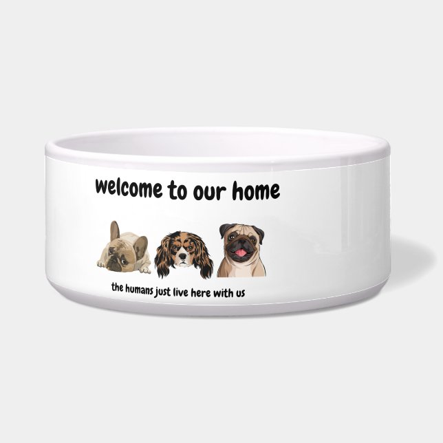 Welcome to dog's home - funny dog bowl (Front)
