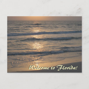 Welcome to Florida Postcard
