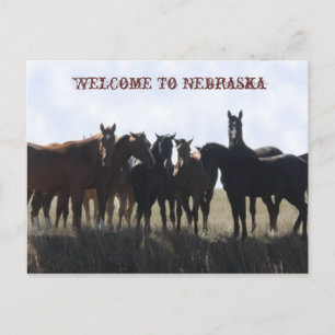 Welcome To Nebraska Postcard