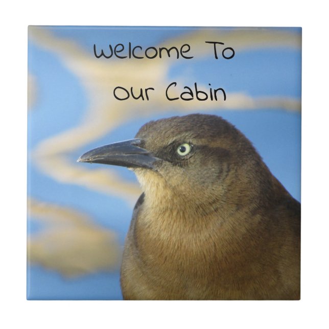 Welcome To Our Cabin Blackbird Photo Wildlife Tile (Front)