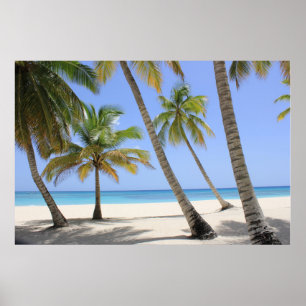 Welcome to Paradise Poster