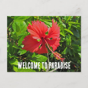 Welcome To Paradise Tropical Flower Beach House Postcard