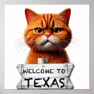 Welcome to Texas Poster