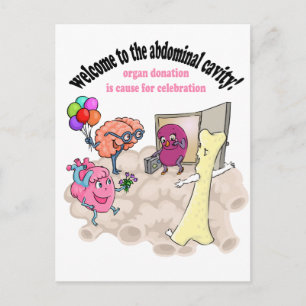 Welcome to the abdominal cavity! postcard