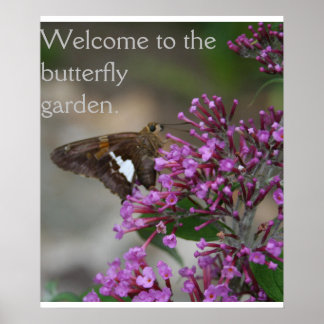 Welcome to the Butterfly Garden Poster--Skipper Poster