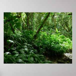 Welcome to the jungle! poster