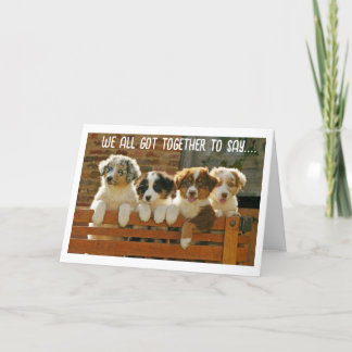 **WELCOME TO THE NEIGHBORHOOD" HOLIDAY CARD