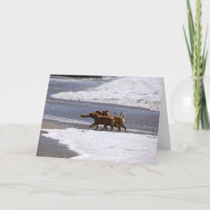 Welcome to the team! card