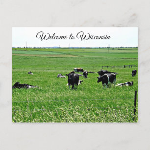 Welcome to Wisconsin Cows in Field Postcard