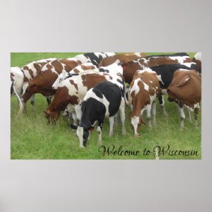 Welcome to Wisconsin Dairy Cows Photo Poster